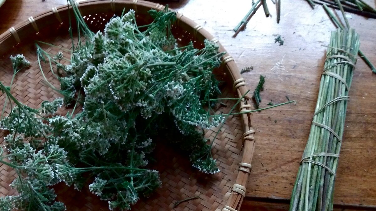 Processing Yarrow